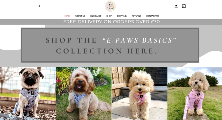 Epaws dog outlet ball